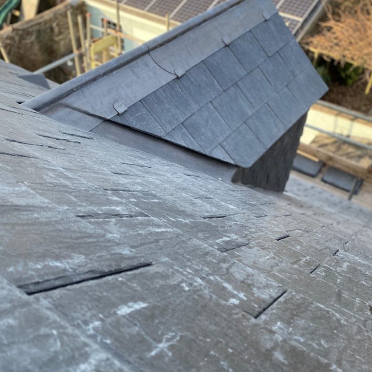 thumbnail IMG 5983 768x768