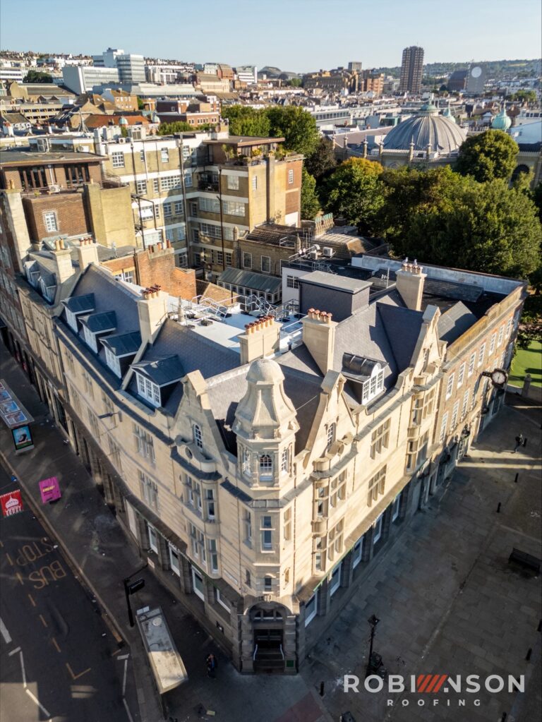 processed 14671C44 40E5 4793 8B8C 86D714DD78B2 768x1023