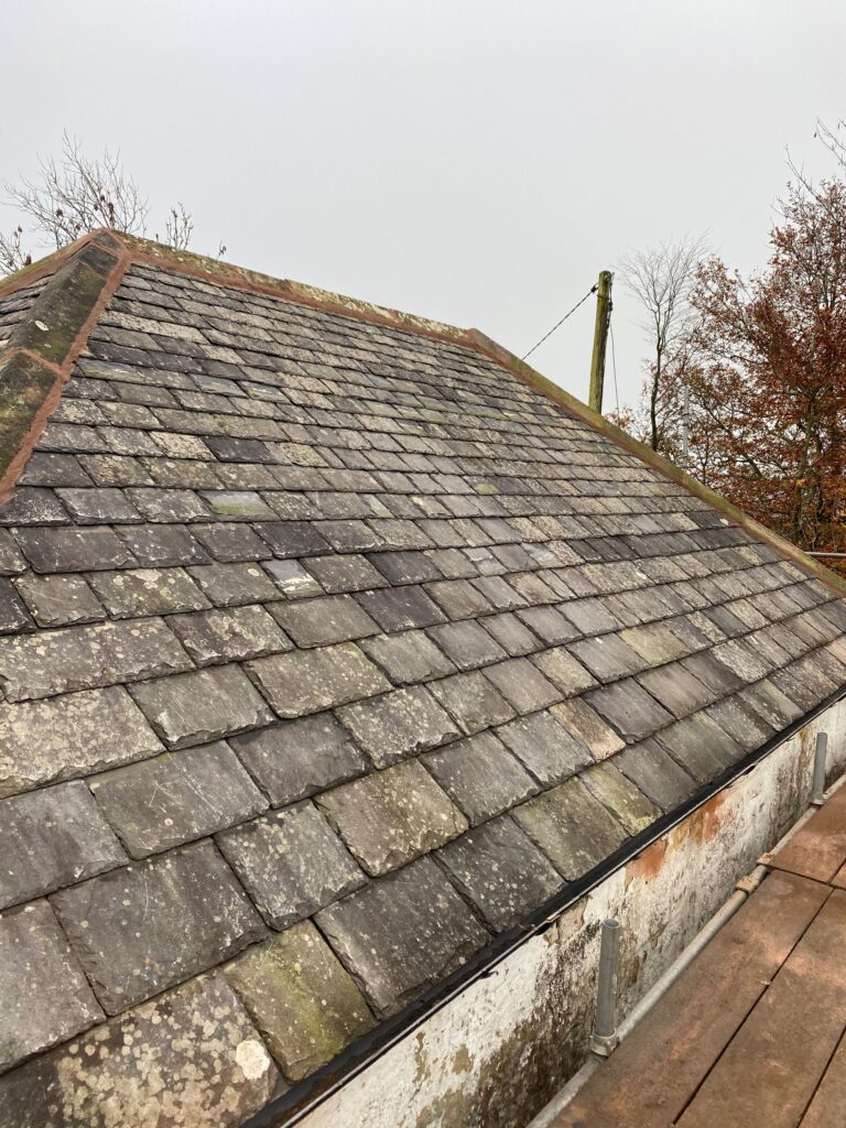 68f1442b219b3 768x1024